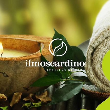 Il Moscardino Country Resort Serra San Bruno Exteriér fotografie